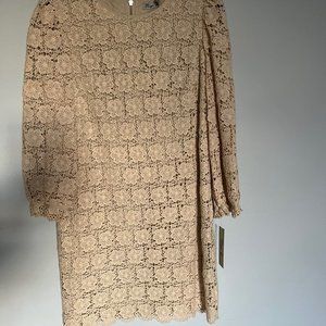 Eliza J I Nordstrom I natural lace mini dress - never worn!